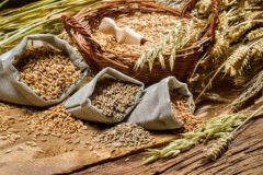 Рекомендовані системи захисту для зернових культур